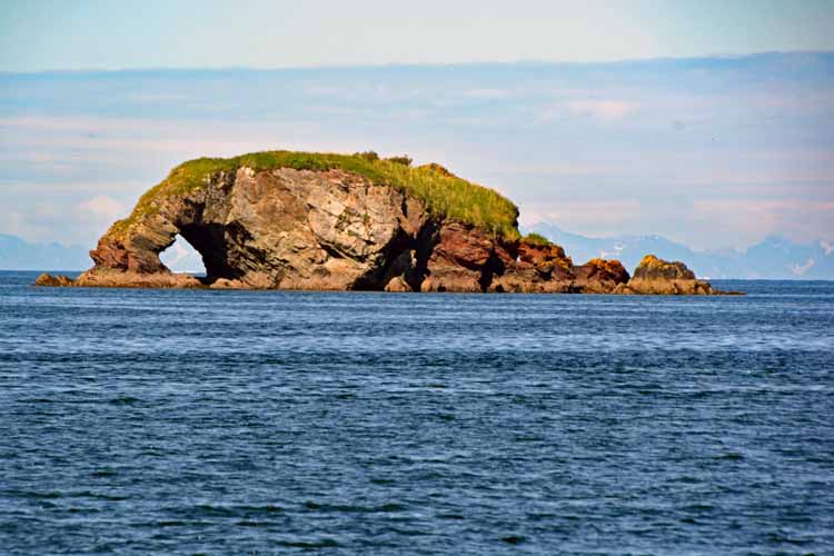 elephant rock